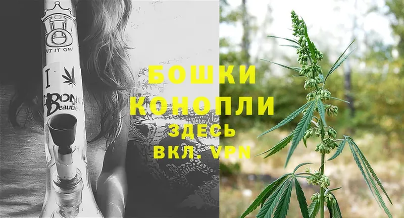 закладка  Мытищи  Бошки Шишки SATIVA & INDICA 